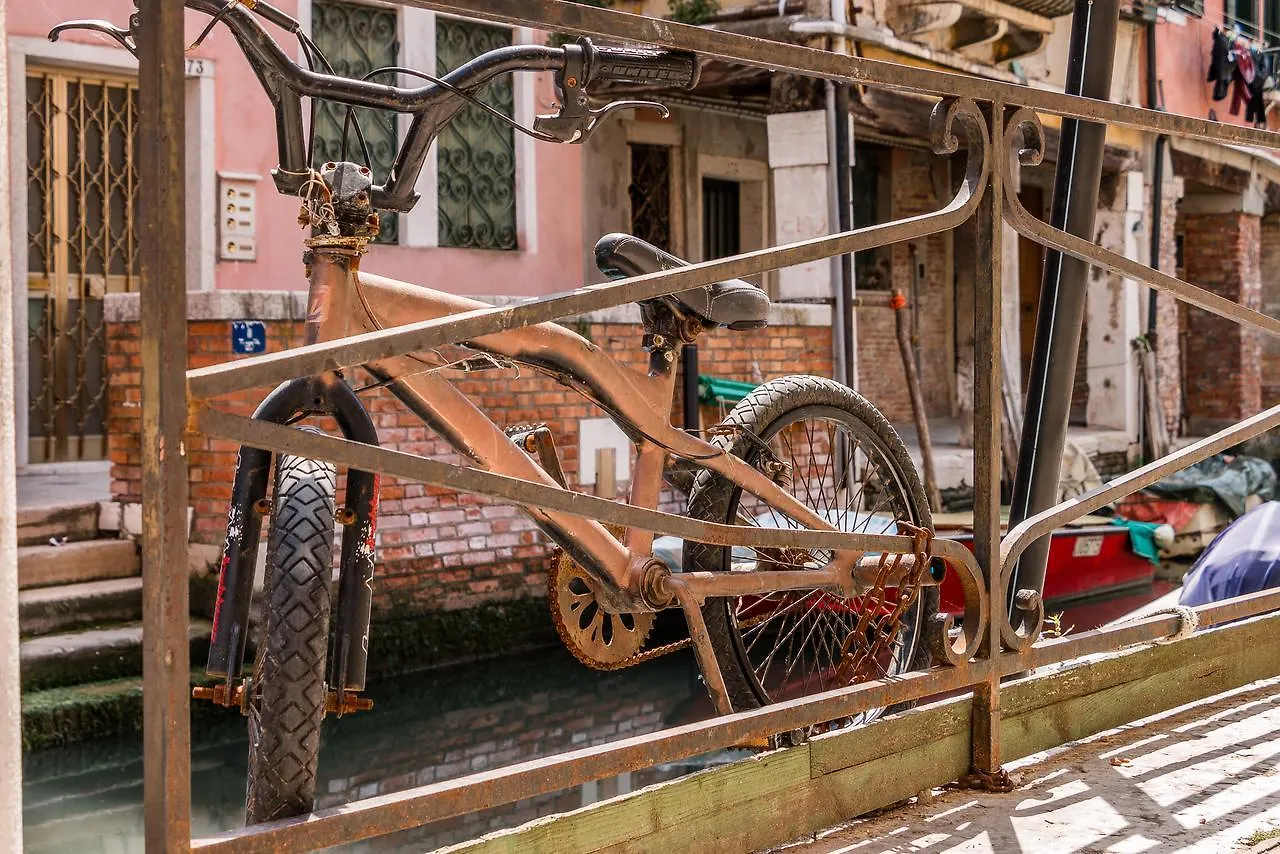 The Star Close To Biennale & Arsenale Venice Italy